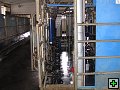 thn_Troubelice 2006 012.jpg